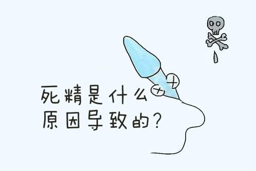 死精症的原因是什么?